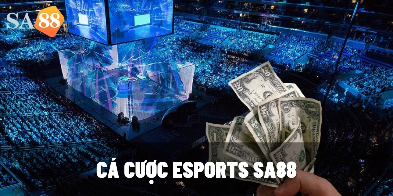 ca cuoc esports