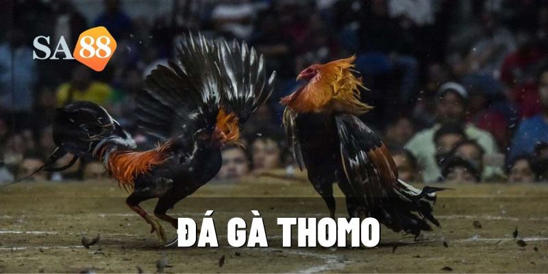 da ga thomo